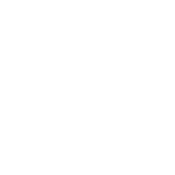 CELEC Logo